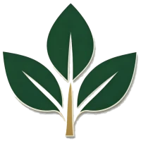 Qingdao  Chengyixin  Elektron  Texnologiya  Co.,  Ltd.